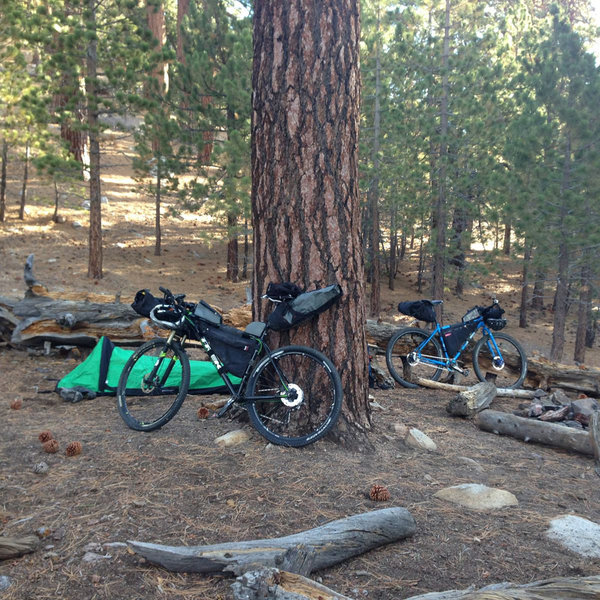 Mount Pinos Biking and Camping Adventure