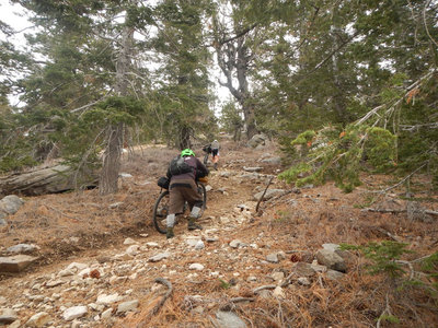 Mount Pinos Biking and Camping Adventure