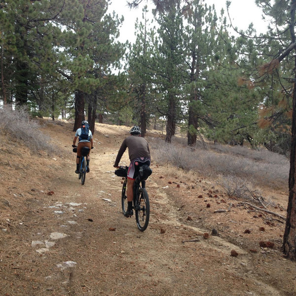 Mount Pinos Biking and Camping Adventure