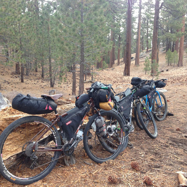 Mount Pinos Biking and Camping Adventure