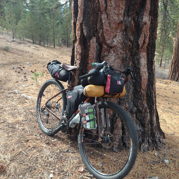 Mount Pinos Biking and Camping Adventure