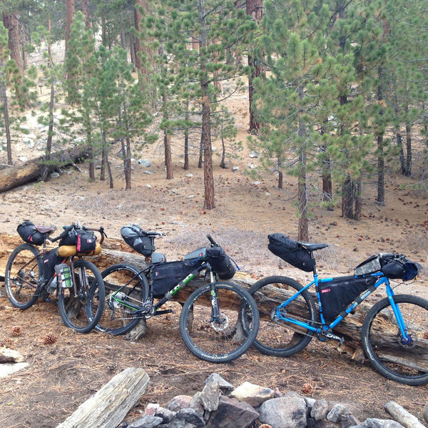 Mount Pinos Biking and Camping Adventure