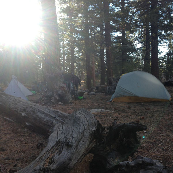 Mount Pinos Biking and Camping Adventure