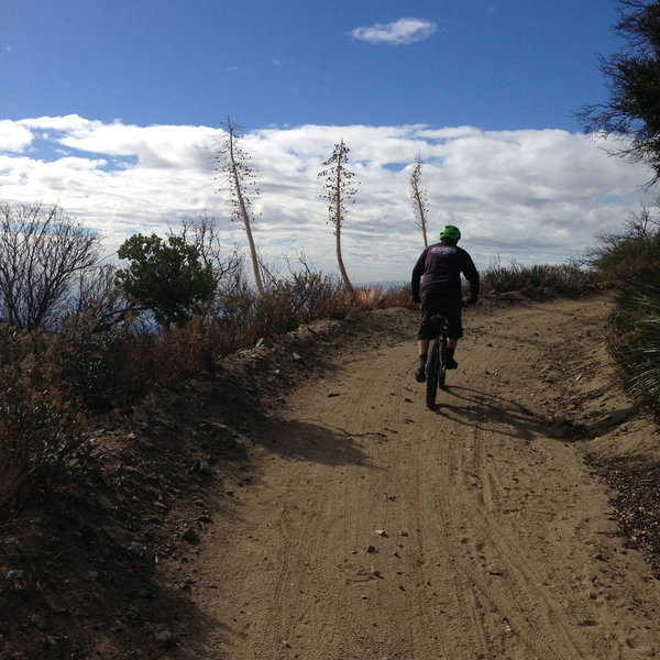 Mount Wilson Camping Adventure