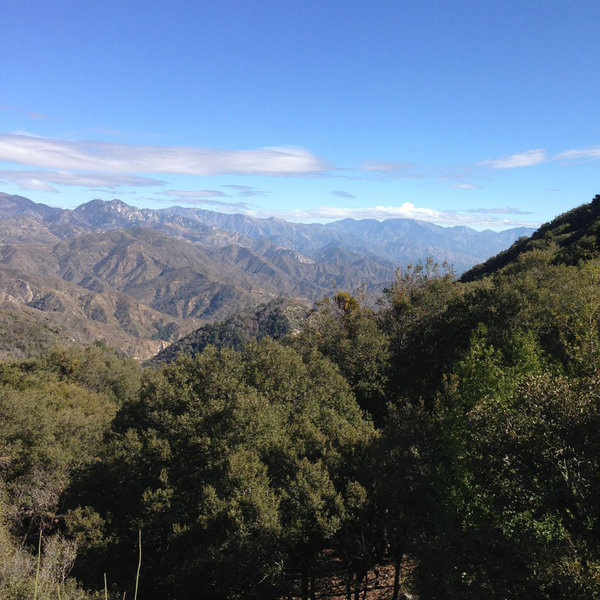 Mount Wilson Camping Adventure