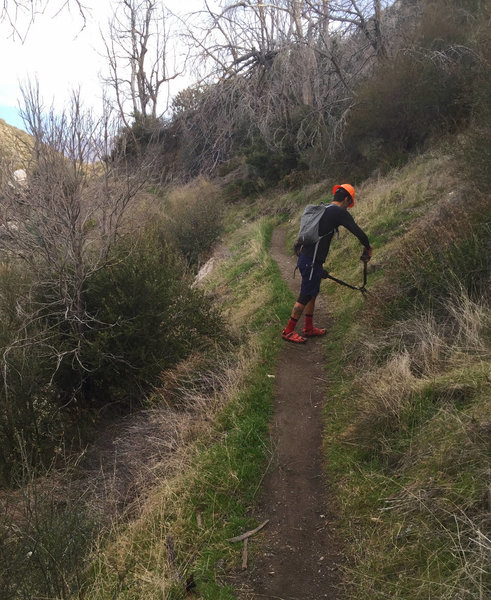 UnPredict Your Wednesday - Red Box Trail Maintenance