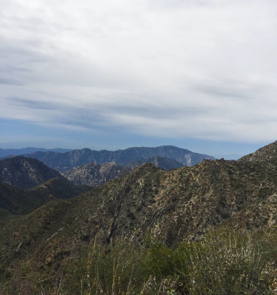 Red Box Trail Maintenance