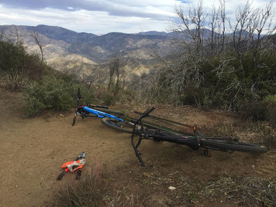 Red Box Trail Maintenance