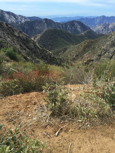 Red Box Trail Maintenance