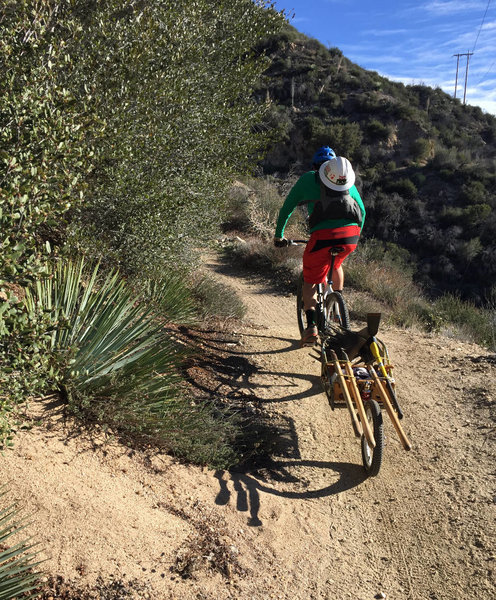 Red Box Trail Maintenance