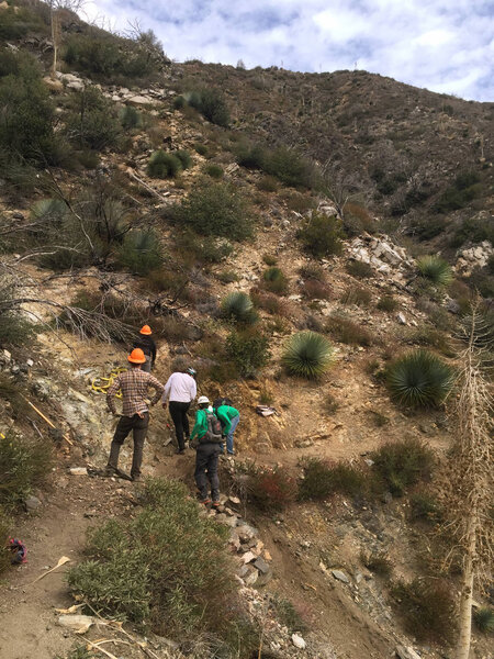 Red Box Trail Maintenance