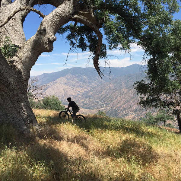 Oak Flat Fire Lookout Tower Fun Trip