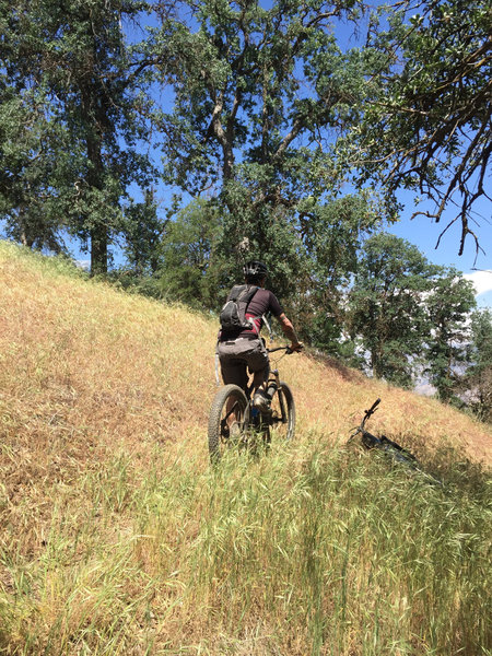 Oak Flat Fire Lookout Tower Fun Trip