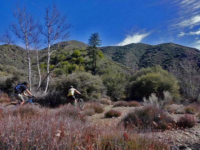 Mountains Above Ojai Adventure