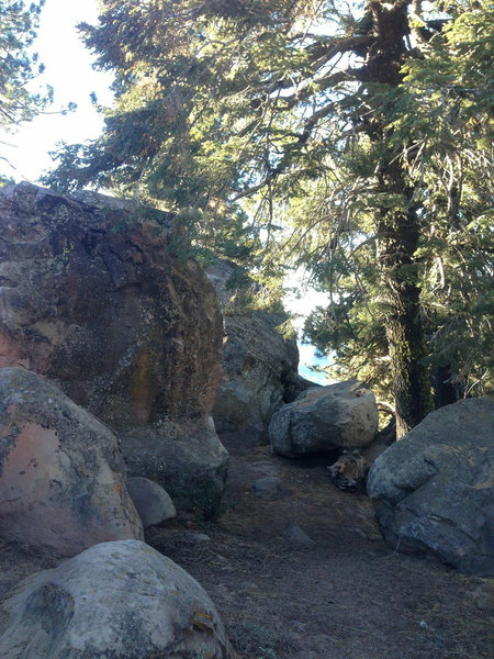 Pine Mountain Reyes Peak Hiking Trip