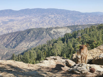 Pine Mountain Reyes Peak Hiking Trip