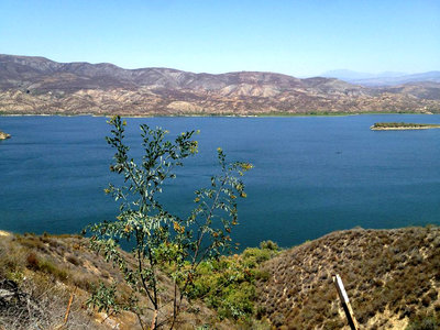 12 Hours of Temecula Mountain Bike Race in Temecula, CA, June 8, 2013