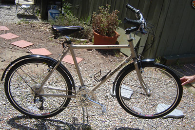 Surly Long Haul Trucker with Surly B17 Flyer and fenders