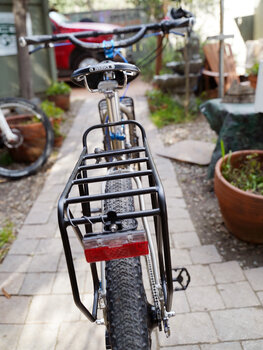 Busch + Muller's dynamo lighting system on Ray's Surly Ogre. Rear light shown.