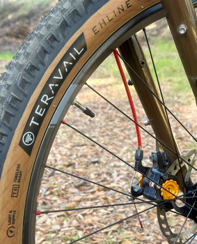 Teravail makes great tires for bikepacking and challenging terrains