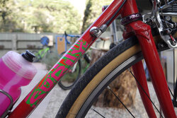 Jeo's full custom Surly Pacer with custom Surly decal