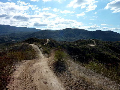 The weather cleared up in Temecula the next day and it was gorgeous