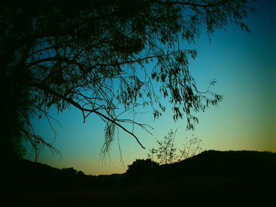 Topanga State Park Musch Camp Overnight