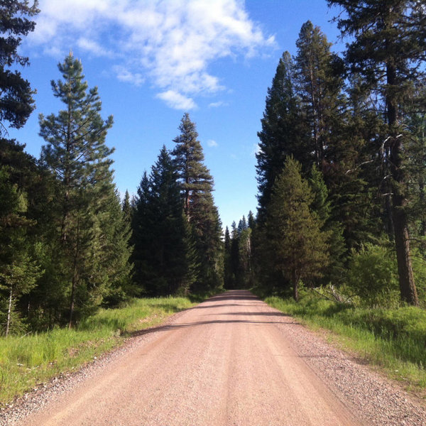 Jay of Topanga Creek Outpost racing the Tour Divide 2016