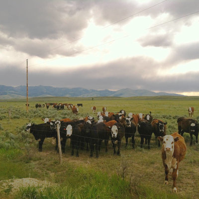 Jay of Topanga Creek Outpost racing the Tour Divide 2016