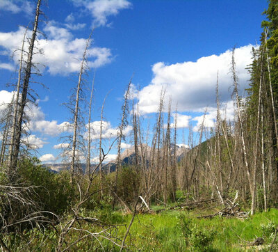 Jay of Topanga Creek Outpost racing the Tour Divide 2016